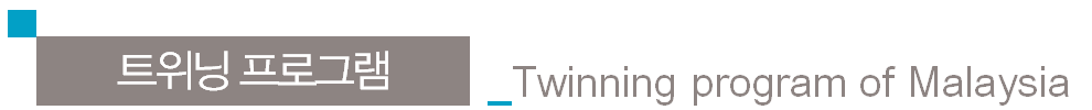 twinning program_title.png